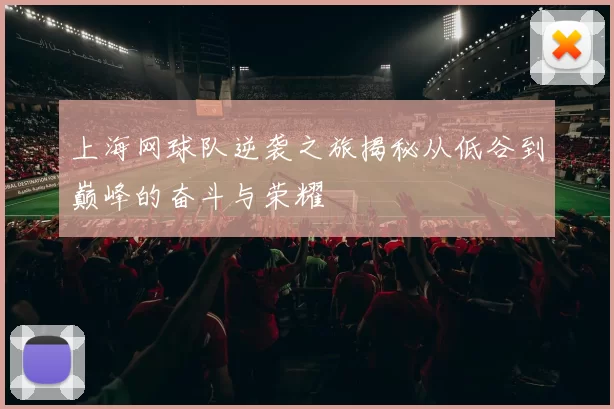 上海网球队逆袭之旅揭秘从低谷到巅峰的奋斗与荣耀