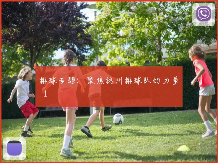 排球专题：聚焦杭州排球队的力量_1