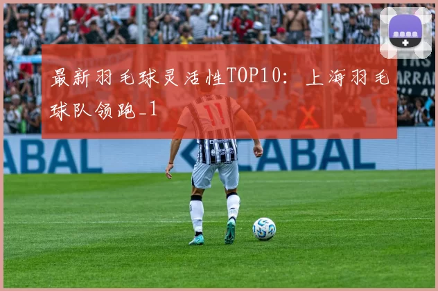 最新羽毛球灵活性TOP10：上海羽毛球队领跑_1