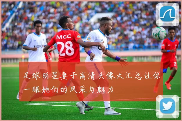 足球明星妻子高清头像大汇总让你一睹她们的风采与魅力