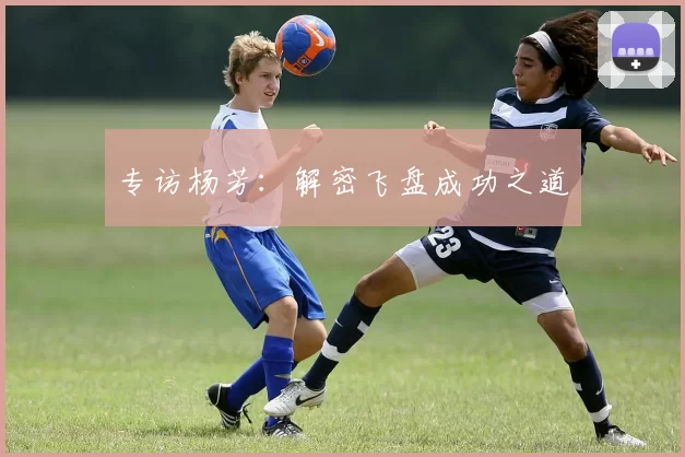 专访杨芳：解密飞盘成功之道