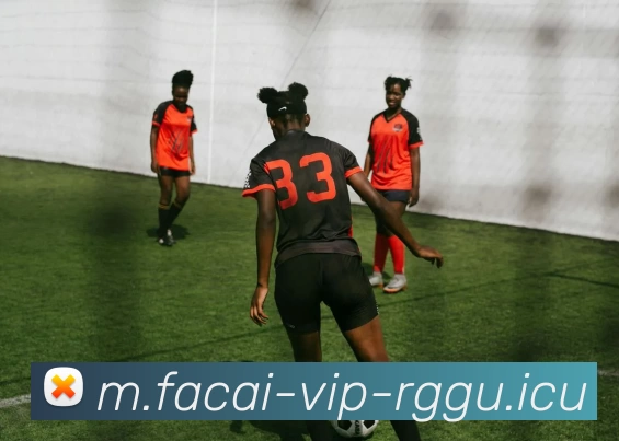 多媒体互动体验